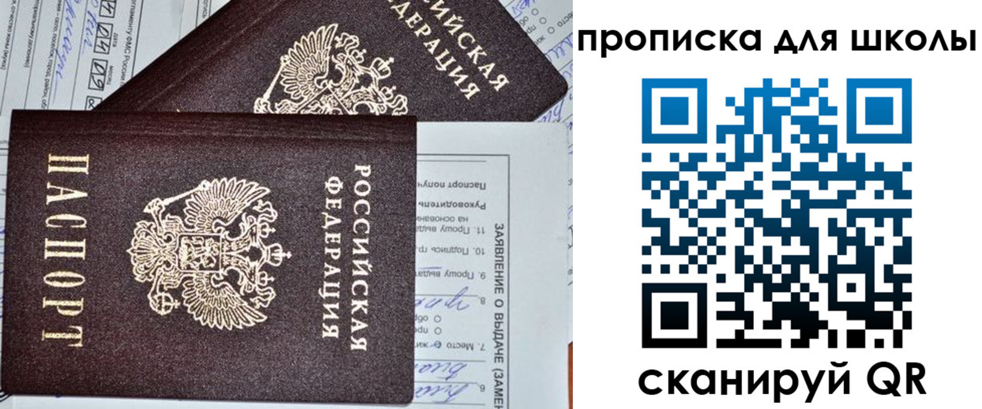 прописка в Ельне