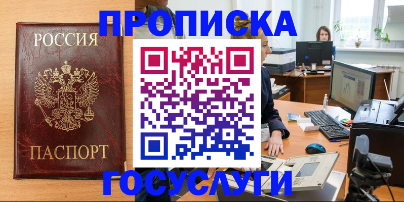 где прописаться в Ельне